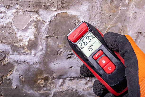 Best Post-Remediation Services in , VT