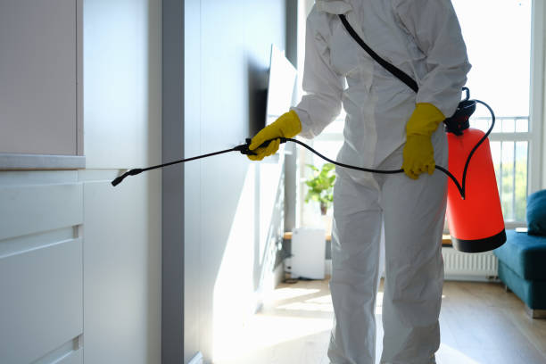 Best Post-Flood Mold Remediation in , VT